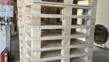Quy định và chính sách xuất khẩu pallet gỗ