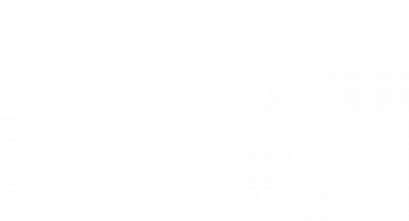 Đóng hàng mẫu, kiểm tra mẫu