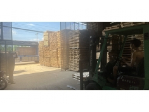 Xưởng đóng pallet tân uyên