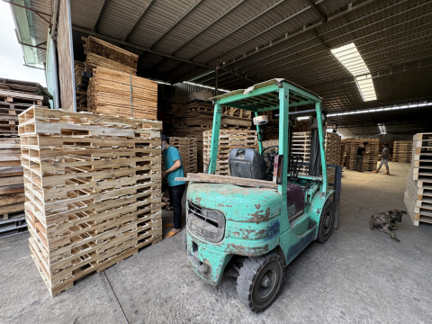 không gian xưởng pallet